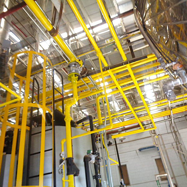 Diseño de ingeniería térmica para aprovechamiento de combustibles eficientes